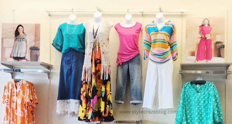 Women’s Cato Fashion Styles and Trends